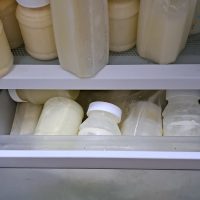 Vegetarian Breastmilk