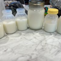 Breast milk for sale