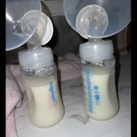 Lactose free diet, newborn milk